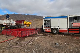 WhatsApp Image 2025-08-20 at 17.16.21.jpeg